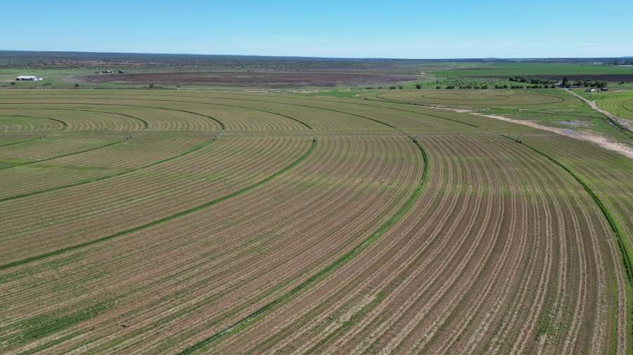 0 Bedroom Property for Sale in Douglas Rural Northern Cape